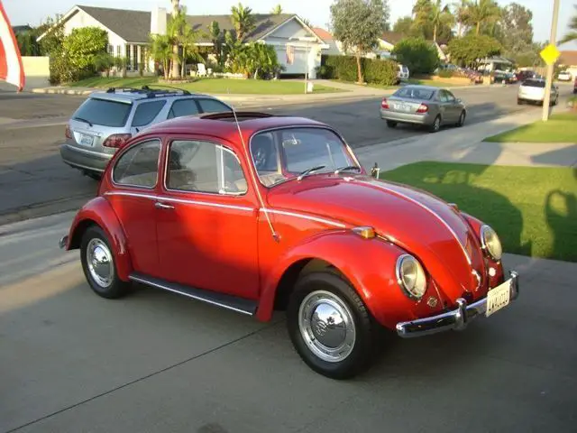 1965 volkswagen two-door