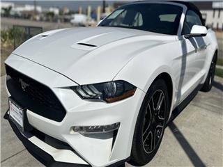 2020 Ford Mustang ecoboost premium