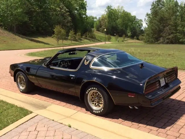 pontiac trans am "beautiful car"