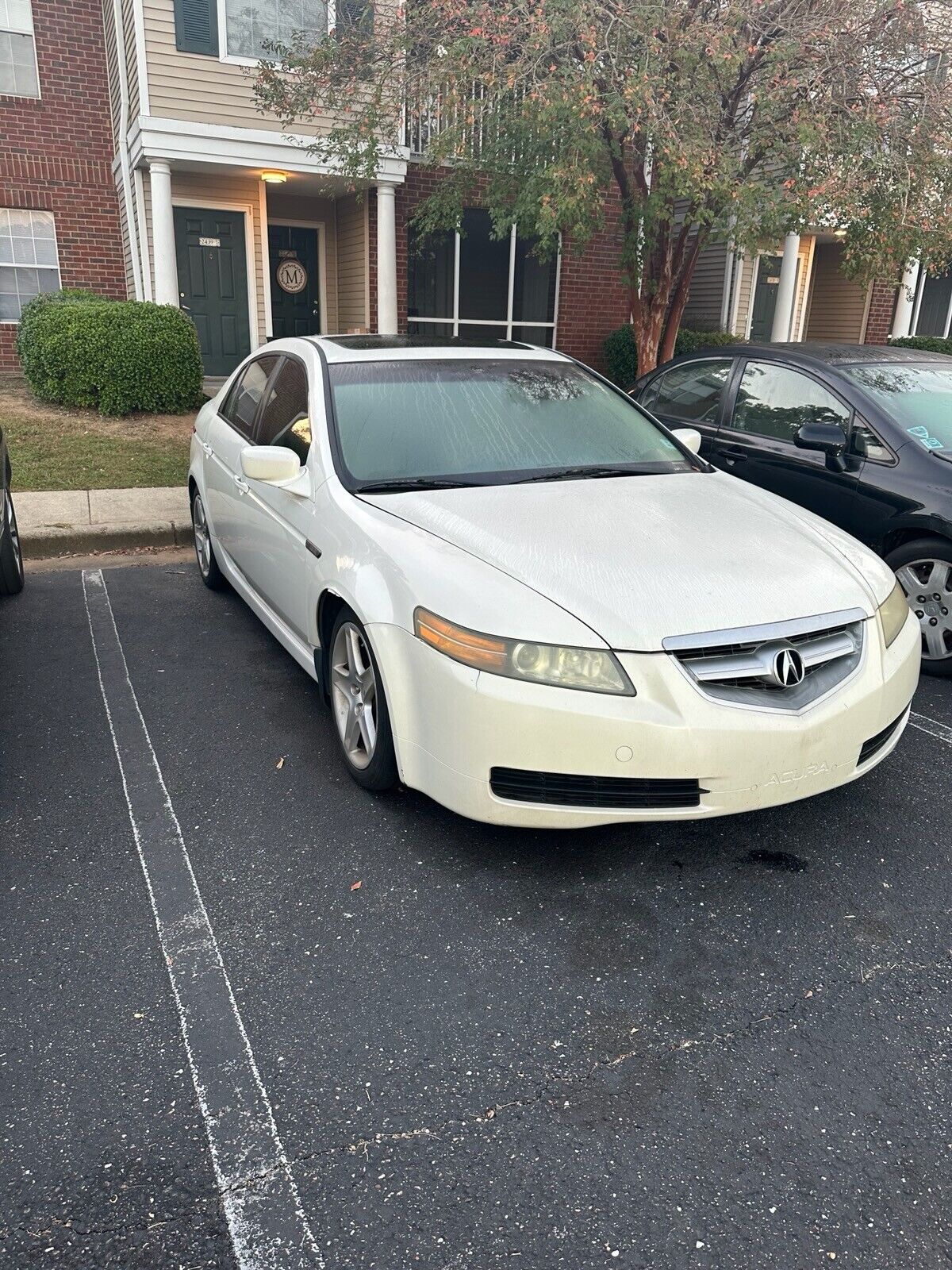 2006 acura tl
