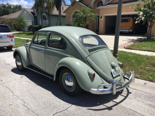 1959 beetle