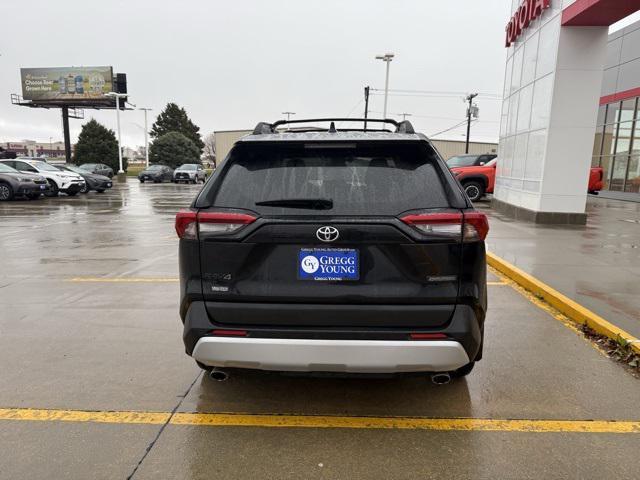 2019 toyota rav4 adventure