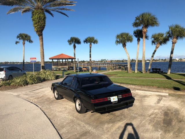 1987 buick regal ttype