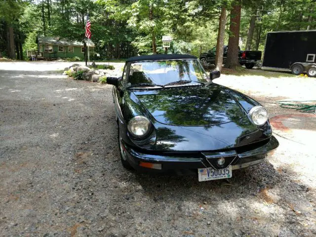 1983 alfa romeo spider $8250