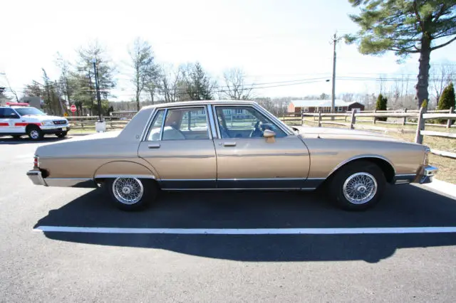cool cruiser