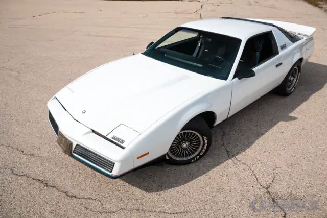 1982 pontiac firebird trans am mse edition, manual trans, recaro seats, look!