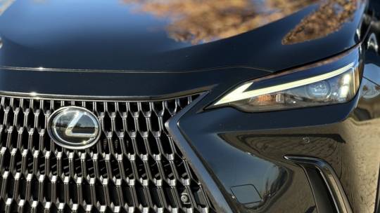 2022 Lexus NX