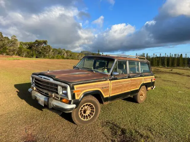 jeep grand wagoneer 1989 v8 4d utility 4wd
