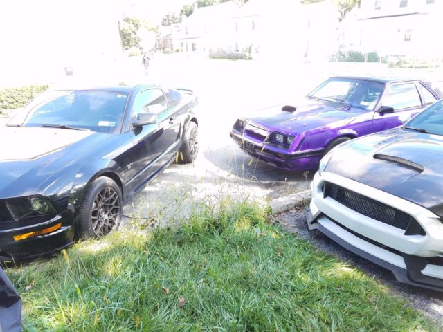 1986 ford mustang gt - built motor intake heads cam - roll cage - custom purple