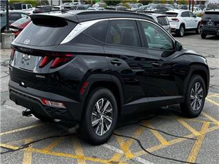 2024 Hyundai Tucson blue