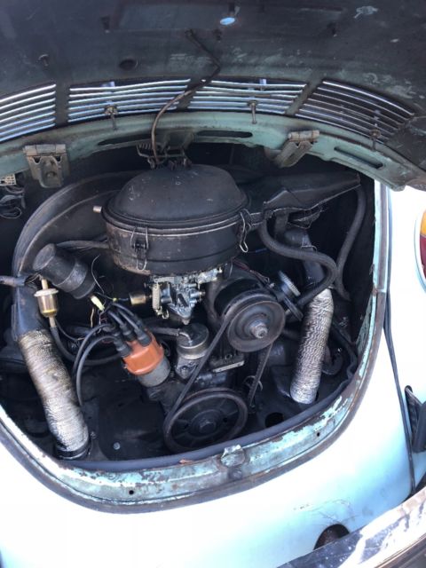 vw bug beetle