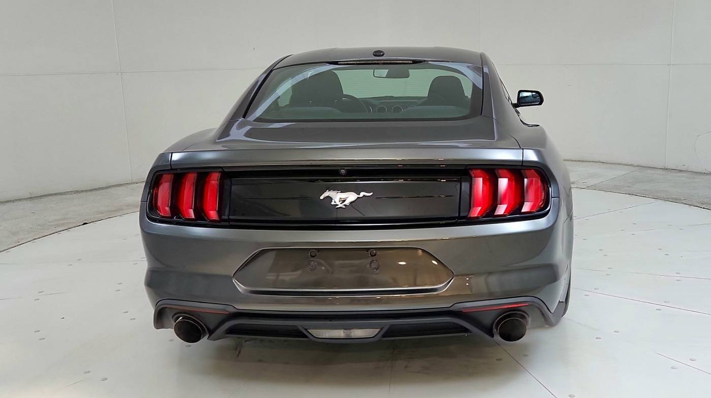 2019 ford mustang ecoboost