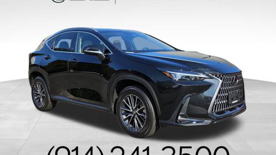 2025 Lexus NX
