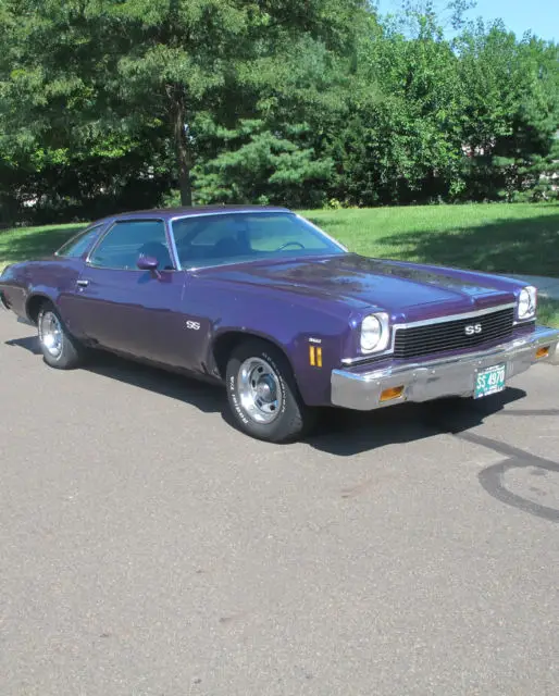 1973 chevelle ss super sport