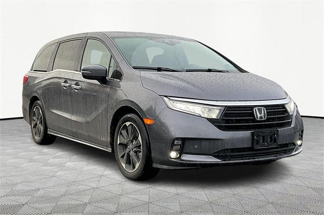2024 honda odyssey elite
