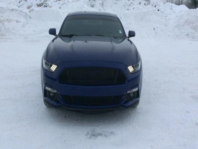 2016 ford mustang ecoboost ecoboost 2dr fastback for sale in anchorage, alaska