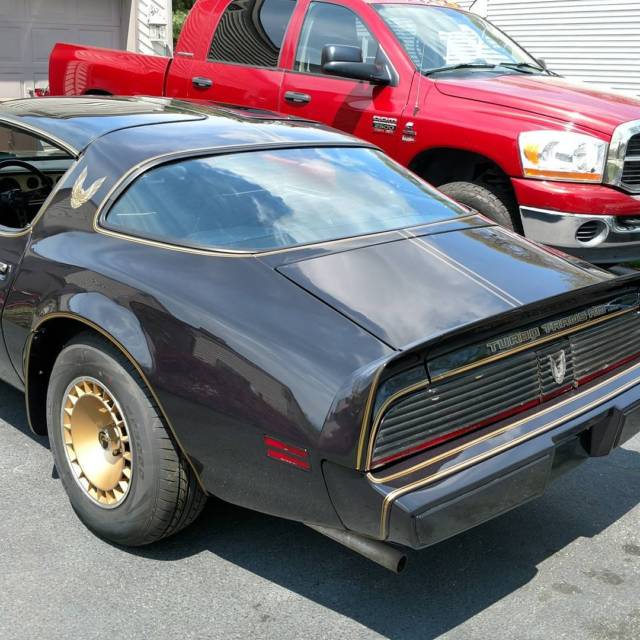 1981 turbo trans am s/e
