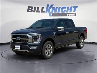 2021 Ford F-150 platinum