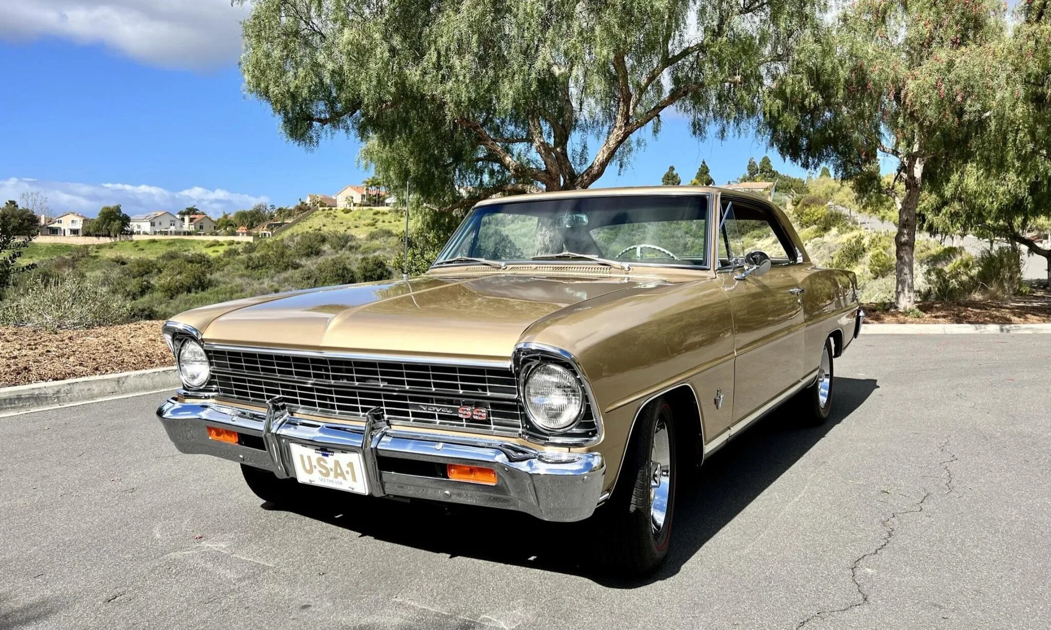 chevrolet nova ss