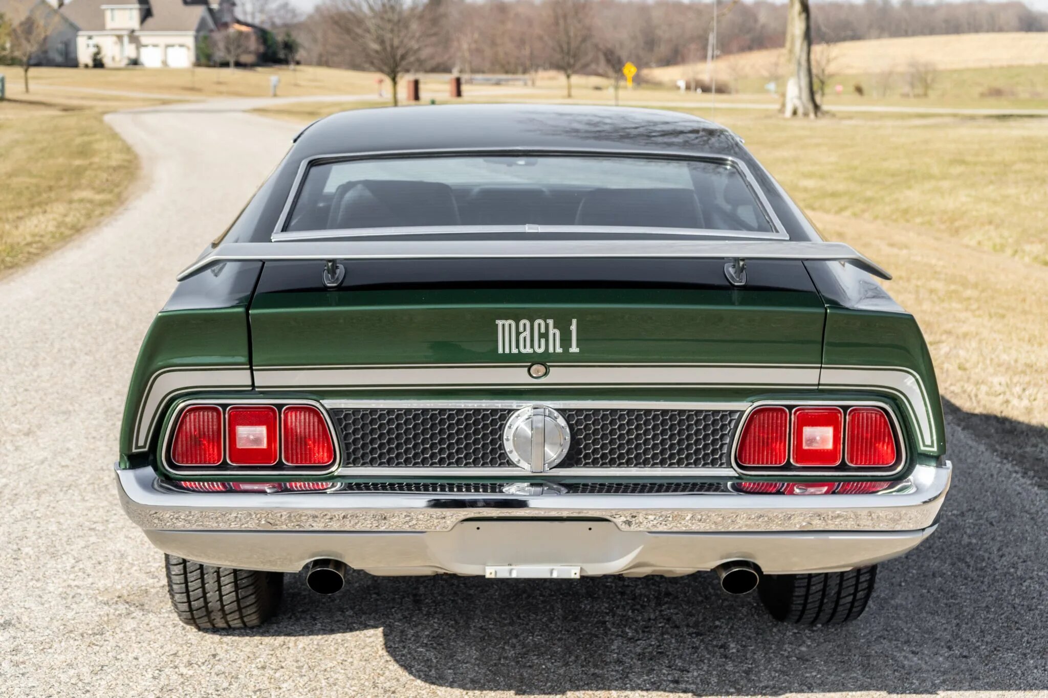 ford mustang mach 1