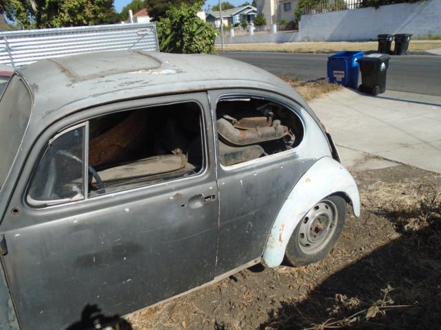 vw bug