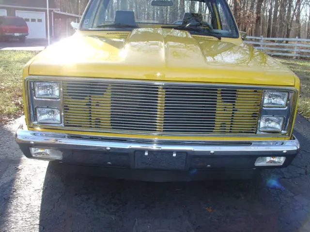 1981 chevrolet 1500 shortbed