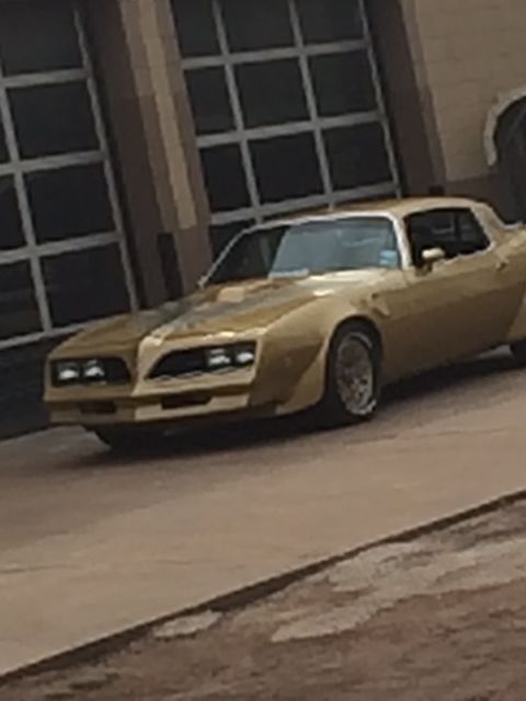 rare gold , 1978 trans am ws4