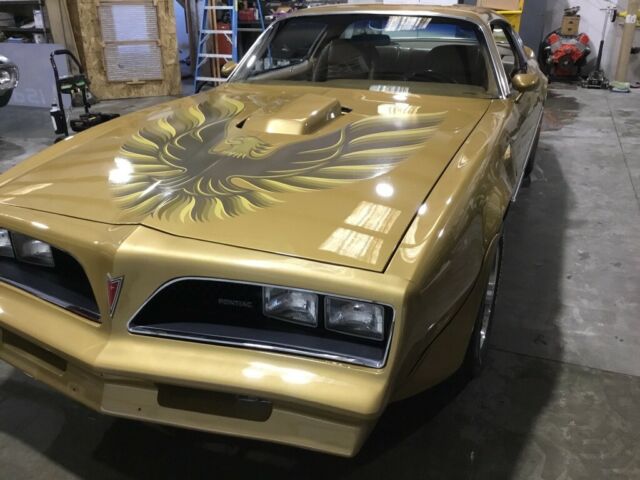 1970 1971 1972 1973 1974 1975 1976 1977 1978 1979 1980 1981 pontiac trans am
