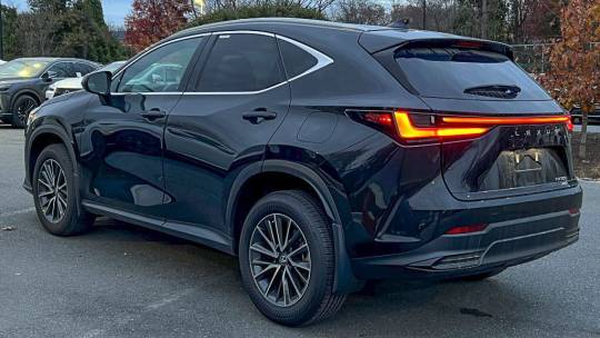 2023 Lexus NX