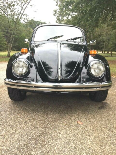 volkswagen beetle bug
