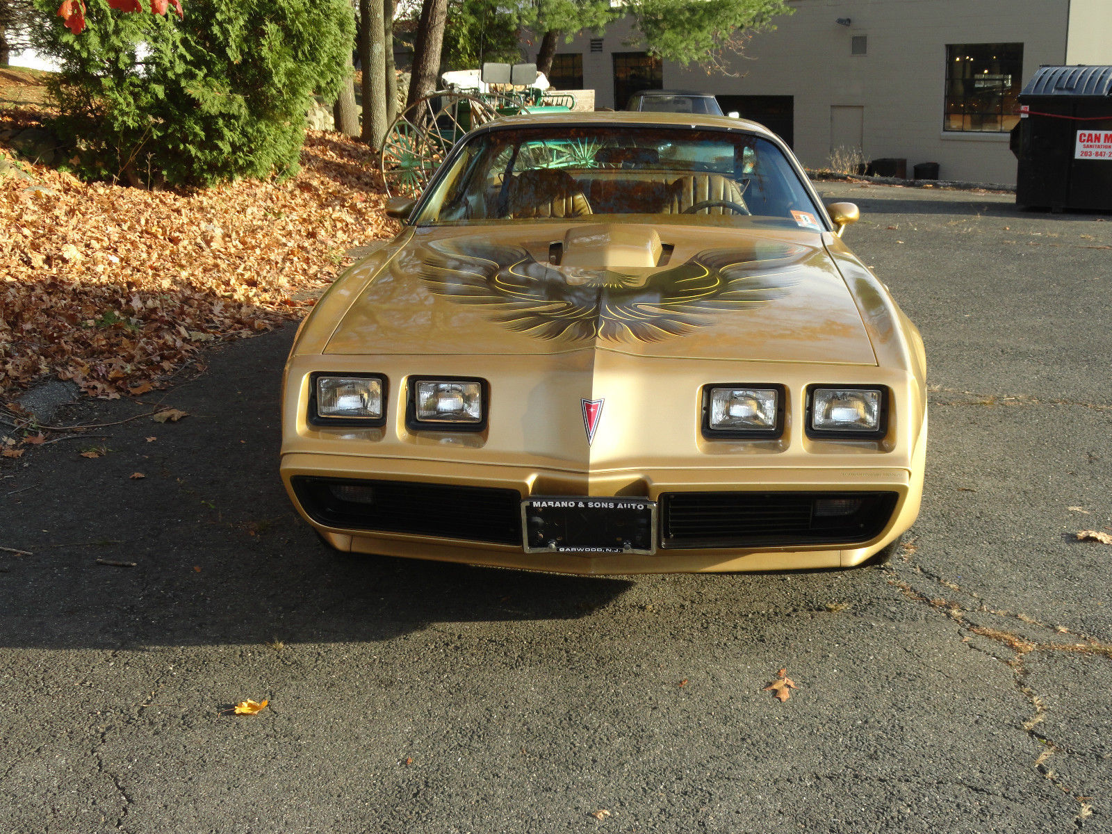 1979 pontiac trans am