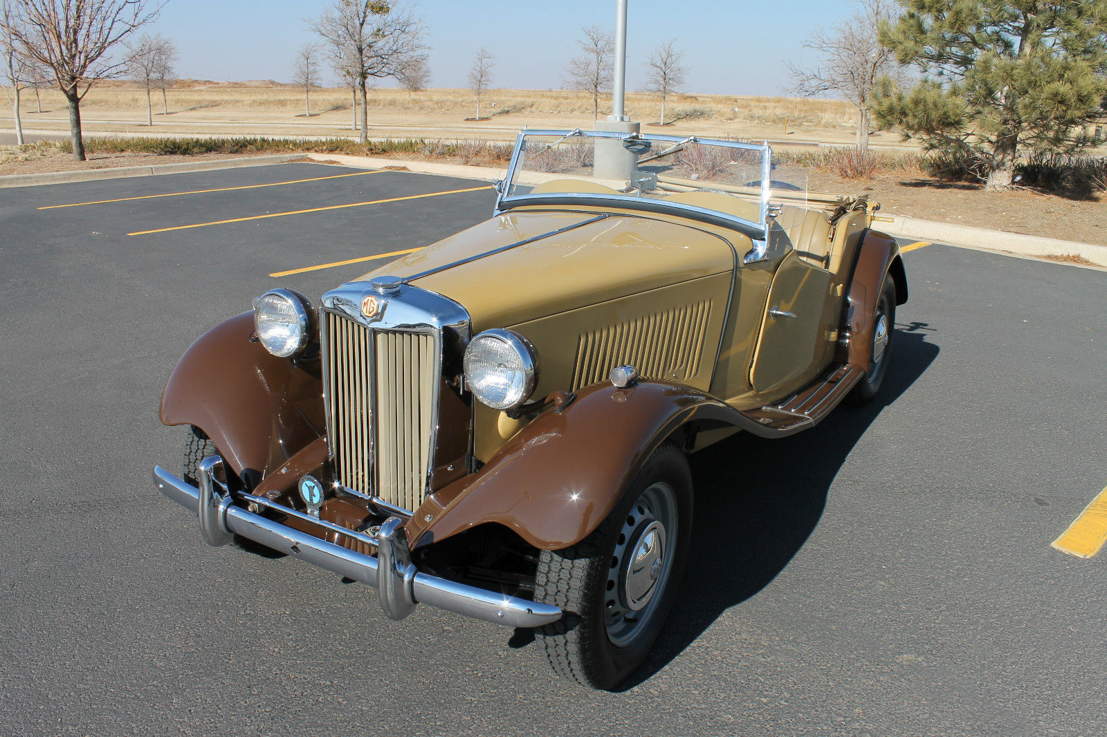 1953 mg td roadster