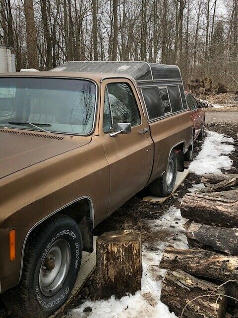 1979 chevy scottsdale c-10 short box 2 wheel drive