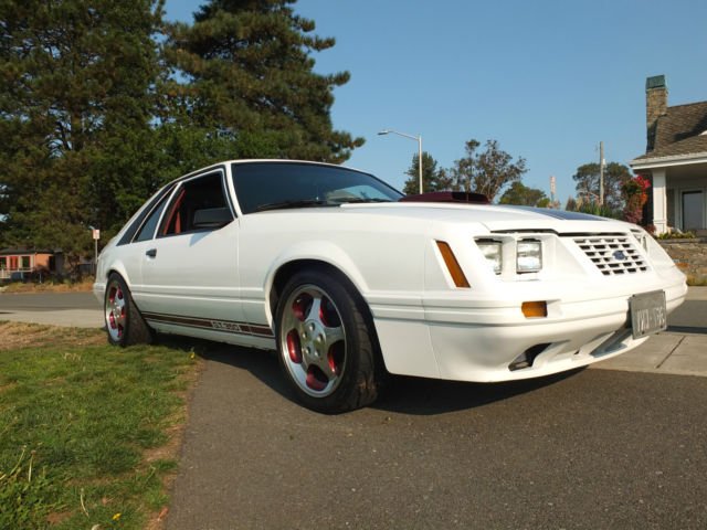 1984 ford mustang gt-350 20th anniversary hatchback 2-door 5.0l