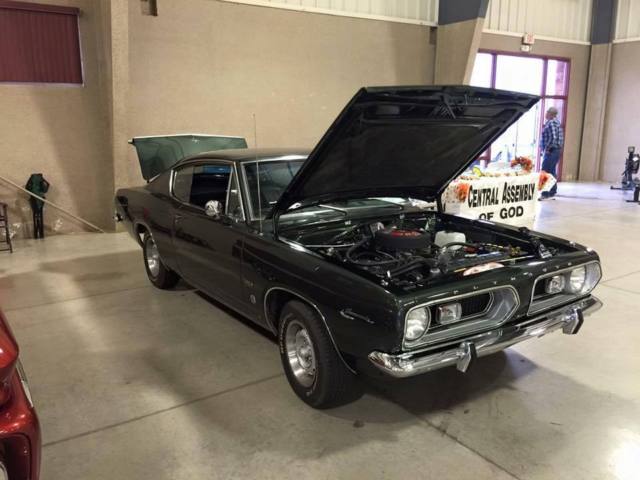 barracuda
