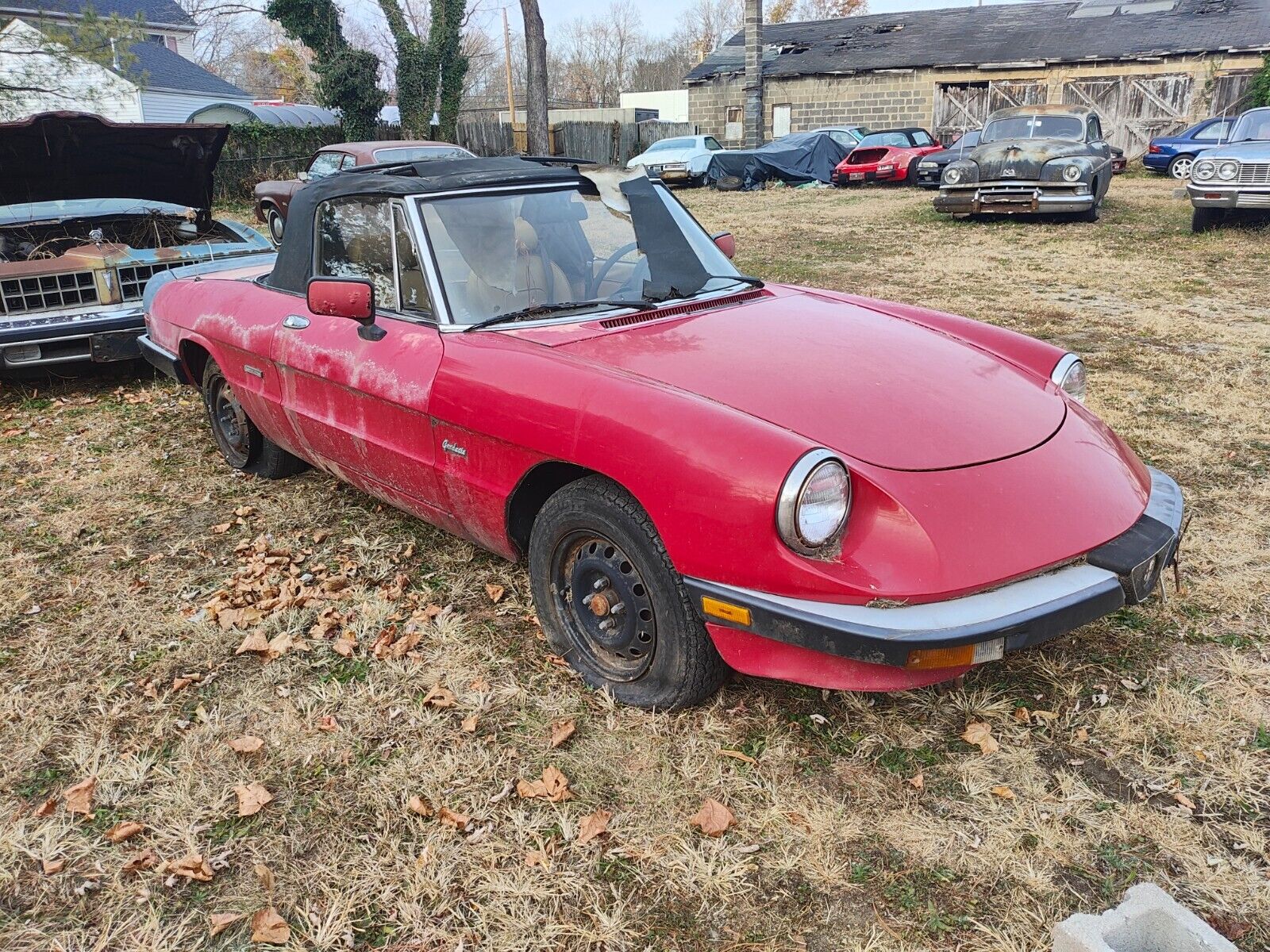 1989 alfa romeo spider