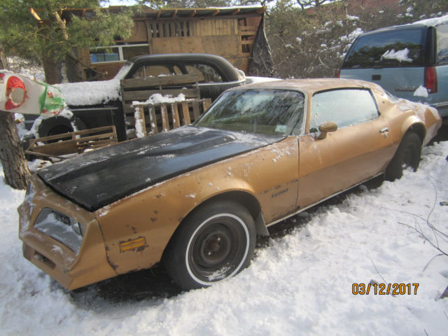 1977 pontiac firebird factory gold the rockford files trans am turbo hood 231 cu