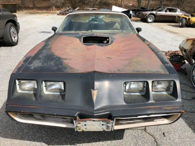 1979 trans am y84 special edition