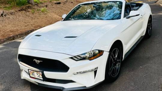 2019 Ford Mustang