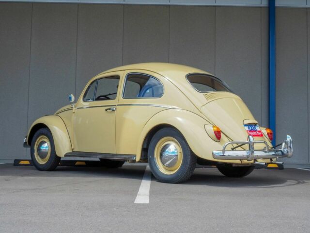 nicely restored | clean | drives amazing 1200cc flat-four 4-speed tan