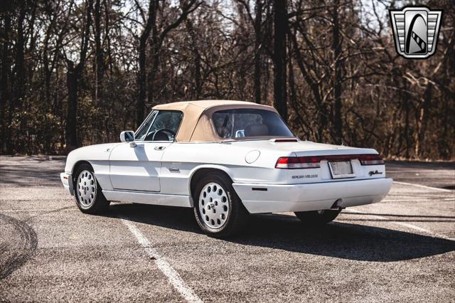 1991 alfa romeo spider veloce