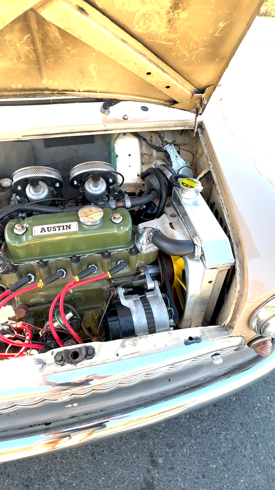 1965 austin