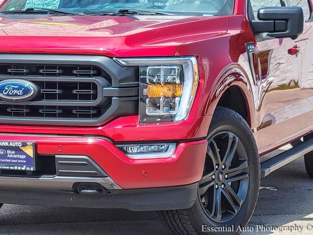 2021 ford f-150 xlt