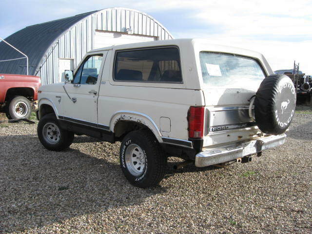 ford bronco 1981 xlt 4x4 351w runs great