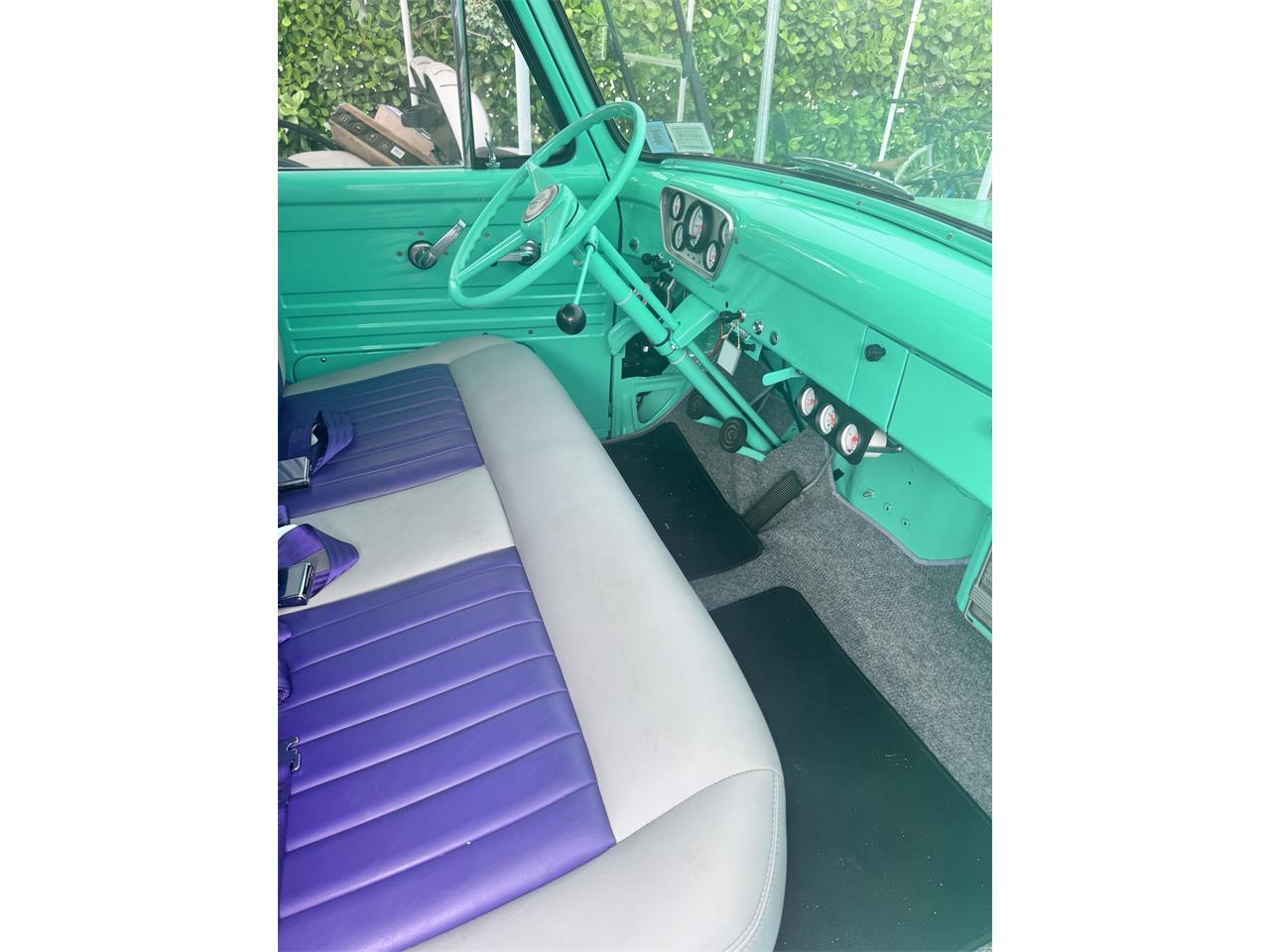 1955 ford f100