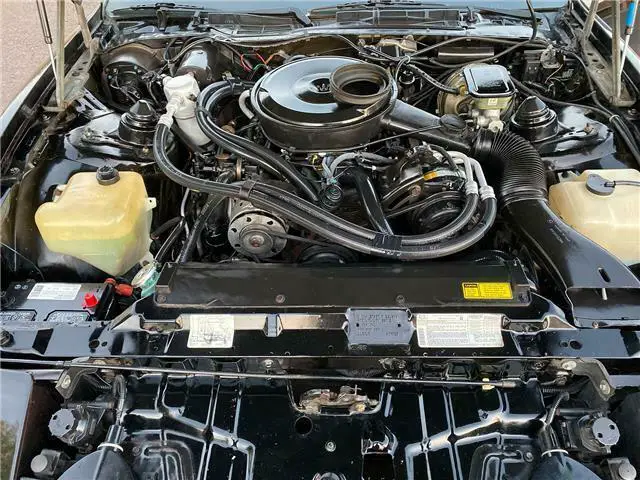 1983 pontiac firebird trans am manual bandit recaro edition t-top