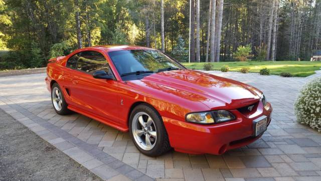 94 mustang svt cobra