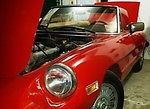 show ready 1981 alfa romeo spider veloce
