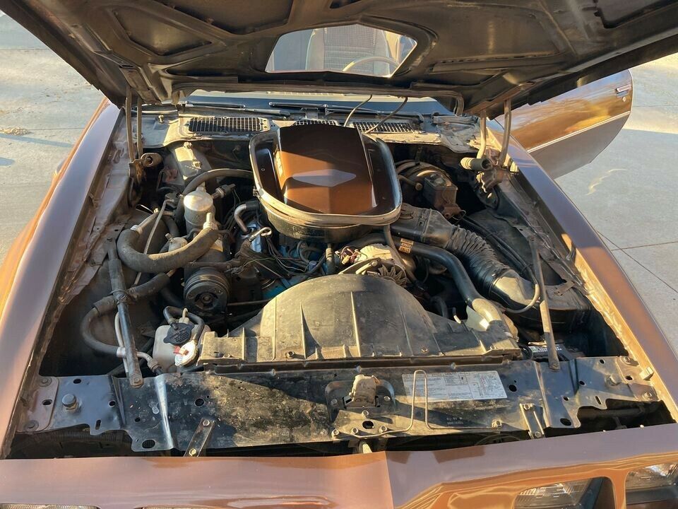 1979 pontiac firebird ws6 trans am 6.6 pontiac 400 4 speed t top a/c
