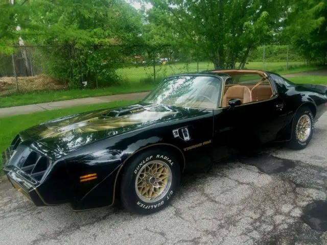 1979 pontiac trans am se y84 66k nice!